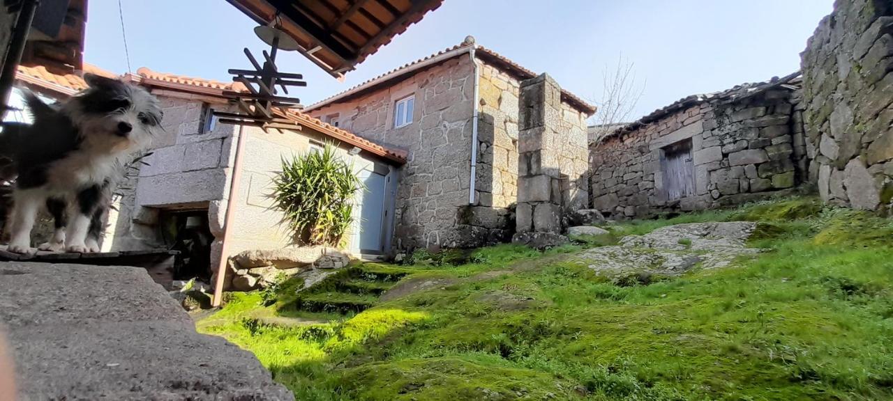 Casa Padre Manuel Do Couto Vila Pouca de Aguiar Exterior foto